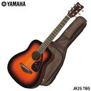 YAMAHA ~jAR[XeBbNM^[ JR2S TBS ^oRuETo[Xg gbvPf~jM^[ }n