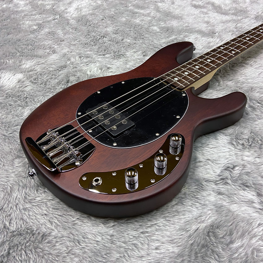 Sterling by MUSIC MAN エレキベース Ray4 Walnut Satin/R スティングレイ スターリン