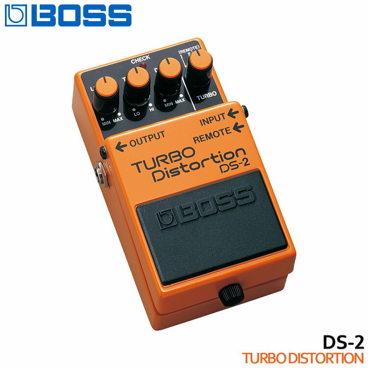 ds-2.jpg