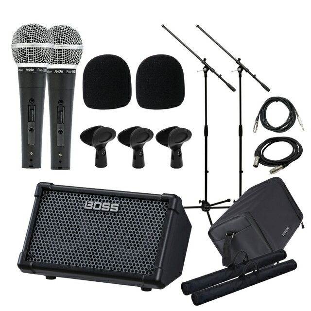 Roland CUBE STREET II 有線マイク2本 ケース付きセット 電池駆動対応