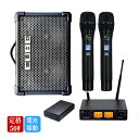 電池駆動セット 明瞭なサウンドのRoland CUBE STREET EX + ワイヤレスマイク2本セット