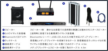 【送料無料】Bluetoothオーディオ・CDプレイヤー＋ワイヤレスマイク用受信機付き　簡易PAセット　Roland CM-30【ラッキーシール対応】