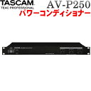 TASCAM パワーコンディショナー AV-P250 (ギターアンプ オーディオ 宅録にお勧めのモデル)