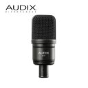 【5/1限定】クーポン最大1000円OFF★AUDIX ラージダイアフラムコンデンサーマイク A131(4月29日時点 供給元在庫あり)