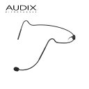 【5/1限定】クーポン最大1000円OFF★AUDIX 無指向性ヘッドセットマイク H5 (miniXLR)(4月29日時点 供給元在庫あり)