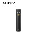 【5/1限定】クーポン最大1000円OFF★AUDIX 単一指向性 小型 コンデンサーマイク M1250B(4月29日時点 供給元在庫あり)