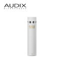 【5/1限定】クーポン最大1000円OFF★AUDIX 高感度 単一指向性 小型 コンデンサーマイク M1255BW (ホワイト)(4月29日時点 供給元在庫あ...