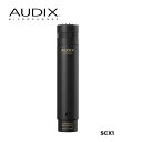 【8/1限定】最大1000円OFFクーポン★AUDIX ペンシル型コンデンサーマイク SCX1 単一指向性(7月26日時点 供給元在庫あり)