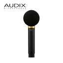【5/1限定】クーポン最大1000円OFF★AUDIX スタジオ用 ラージダイアフラム コンデンサーマイク SCX25A(4月29日時点 供給元在庫あり)