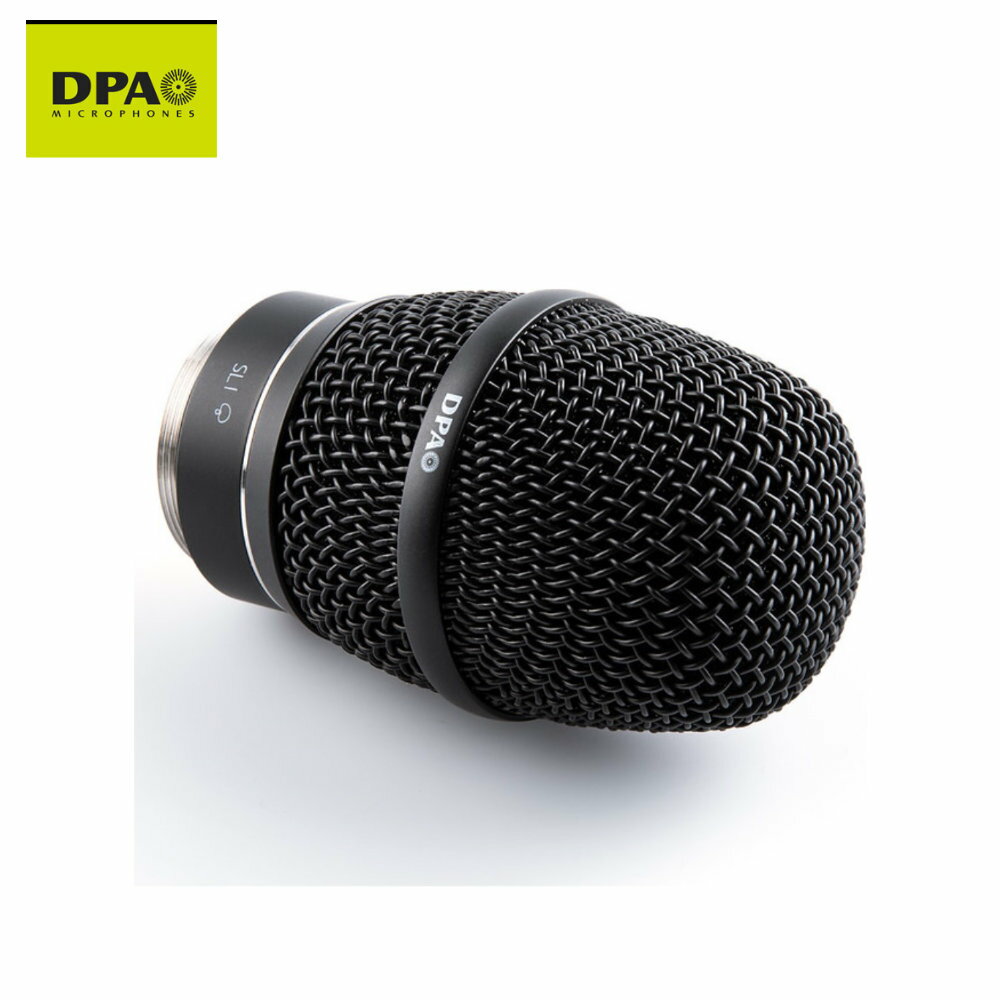 DPA 2028 SHURE磻쥹 򴹥إåɥץԤʡ