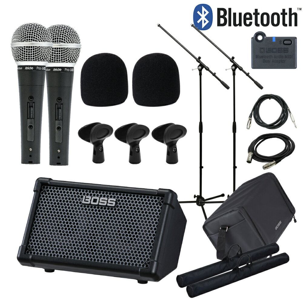 Roland CUBE STREET II Bluetoothオプション付 アンプ内蔵 ポータブルPAスピーカー マイク2本セット ストリートに最適 ケース付