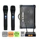 ワイヤレスマイク2本付き Roland CUBE STREET EX 簡易PAセット