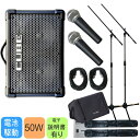 Roland ローランド CUBESTREET EX有線マイク2本セット(ソフトケース付きセット)