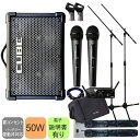 【5/1限定】クーポン最大1000円OFF★出力50W Roland CUBE STREET EX + ワイヤレスマイク2本+スピーカーケース付き 簡易PAセッ...