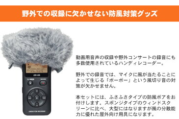 【送料無料】■TASCAM レコーダー DR-05VER3 (屋外収録にも使える防風ボア＋イヤフォンセット)