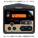 Roland（ローランド）デジタルドラム音源モジュール TM-2