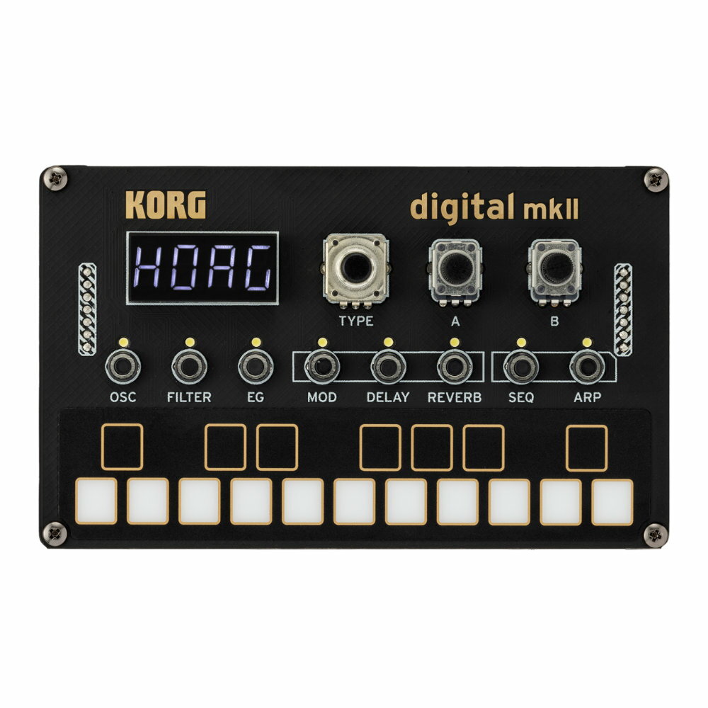 KORG NTS-1 digital kit mkII 󥻥 ȤΩƥå