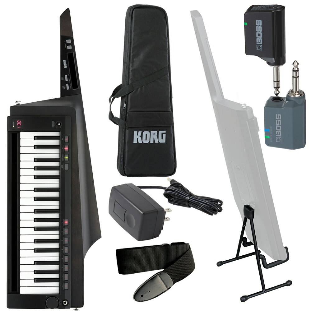 KORG キーボード RK-100S2 BK (ワイヤレスシステム/スタンドセット)