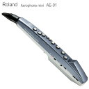 2/15はエントリーで最大P5倍★Roland Aerophone mini /AE-01 エアロフォンミニ / デジタル管楽器 ローランド エアロホン