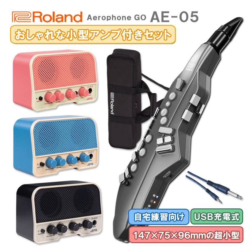 Roland Aerophone GO AE-05【初心者でも簡単に接続】Bluetooth機能付き おしゃれなレトロデザインの小型アンプ付き ウインドシンセ デジタル管楽器 電子楽器