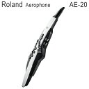 2/15はエントリーで最大P5倍★ローランド エアロフォン AE20　Roland Aerophone AE-20