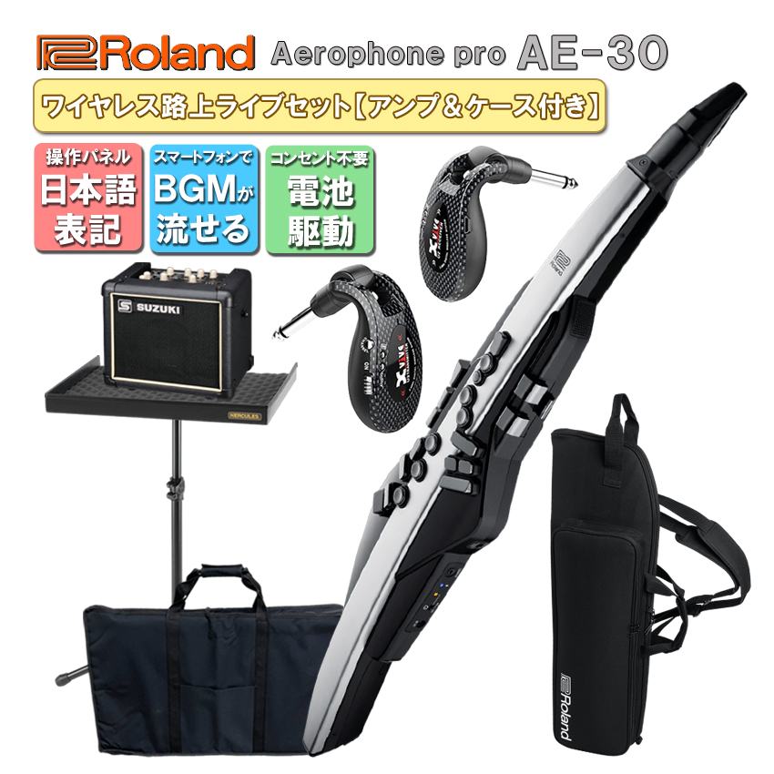 Roland Aerophone Pro AE-30【初心者でも路上ライブが出来る】スピーカースタンド＆ケース 日本語操作パネルのアンプ付き ウインドシンセ デジタル管楽器 電子楽器