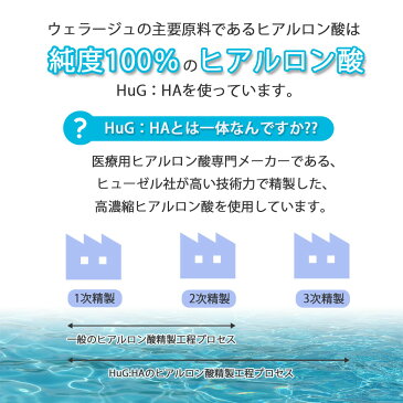 【WELLAGE 日本公式】ONE DAY KIT 10EA Real Hyaluronic （リアルヒアルロニック バイオカプセル ）ウェラージュ ヒアルロン酸 マスク 人気 スキンケア 美容液 毛穴 保湿 韓国 コスメ 化粧水 おすすめ プレゼント パック 正規品 美肌 スキンケア 水光注射 八木アリサ