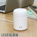 USB加湿器 次亜塩素酸水対応 除菌 消臭 噴霧器 車載 卓上 携帯 オフィス 寝室にも ディフューザー