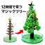 「【メール便】クリスマスツリー 卓上 マジック クリスマスツリー 12時間で育つ不思議なクリスマスツリー マジックツリー」を見る