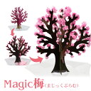  Magic梅 マジック梅(マジックプラム) 6時間で梅の花が満開に 新元号 令和グッズ おとぎの国 