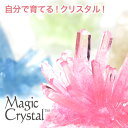 マジッククリスタル 10日で育つ不思議なクリスタル Magic Crystal 手作りキット 自由研究　巣ごもりグッズ 工作 【Merry House】