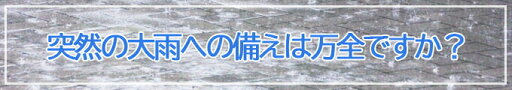 ベンリーポンチョ 非常時トイレの目隠し 1枚入 1個