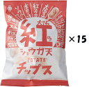 (15個セット)アイデアパッケージ 大阪紅ショウガ天ポテトチップス 90g ×15個(AT)(代引不可)(沖縄・離島への発送は不可)