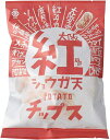 (6個セット)アイデアパッケージ 大阪紅ショウガ天ポテトチップス 90g×6個(AT)(代引不可)(沖縄・離島への発送は不可)