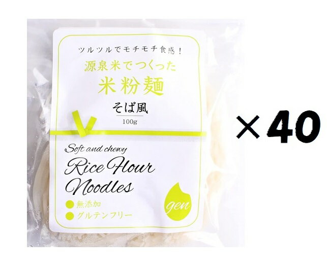 (40袋セット)(OS)米粉麺100g 1mmそば風×40袋セット(代引不可・他の商品と混載不可)(北海道・九州・沖縄・離島へ(北海道・九州・沖縄・離島への発送は不可)