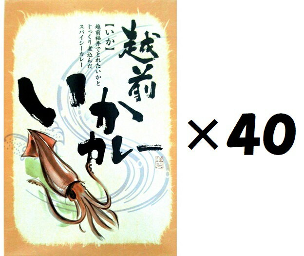 （40個セット）海の幸いかカレー×40個セット（KS）（代引・他社製品と同梱不可）（沖縄・離島への発送は不可）