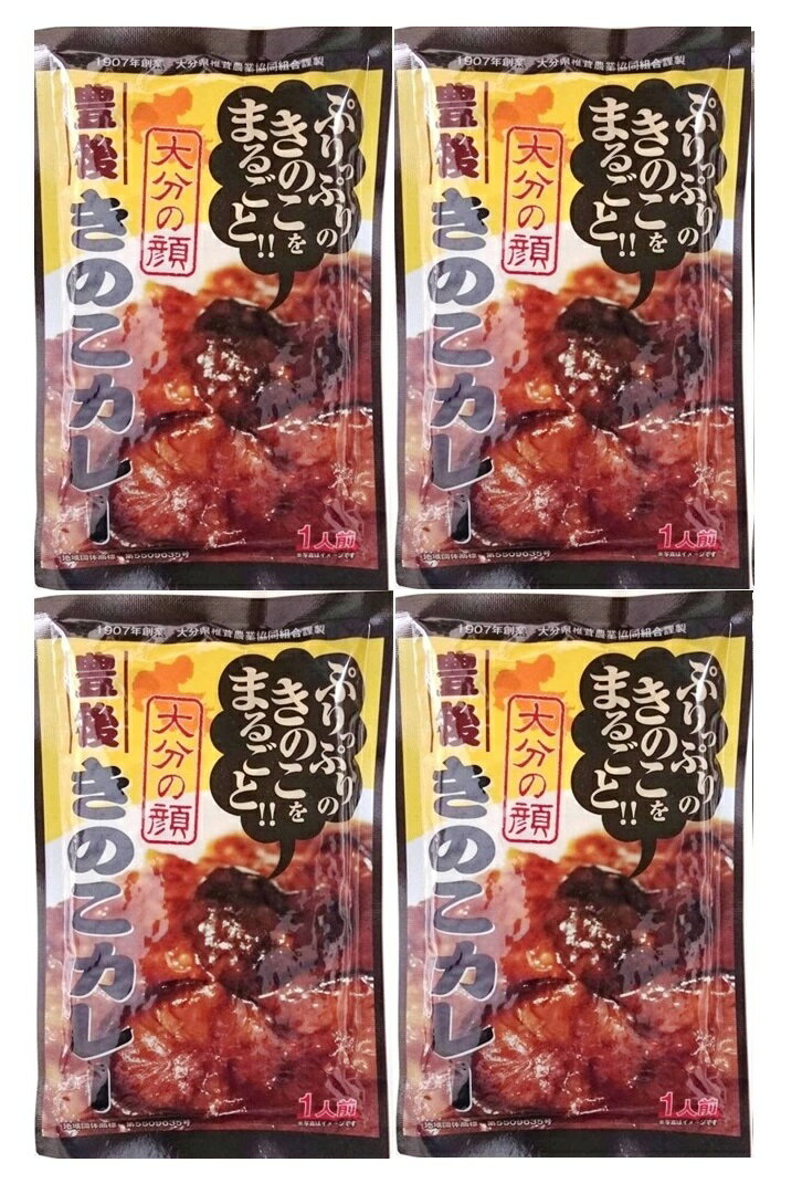 （4袋セット）（全国送料無料）(A) 豊後きのこカレー×4袋セット（代引・他の商品と混載不可）