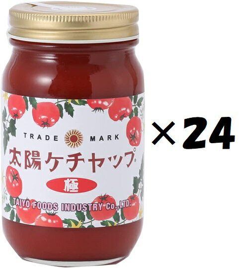 （24個セット）太陽ケチャップ極230g×24個セット（KS）（代引・他社製品と同梱不可）（沖縄・離島への発送は不可）