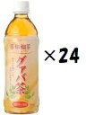 (24本セット)バンセンリュウ茶(グァバ茶)500ml×24本セット(OS)(代引・他の商品と混載不可)(日曜日のお届け指定は不可)(沖縄・離島への発送は不可)