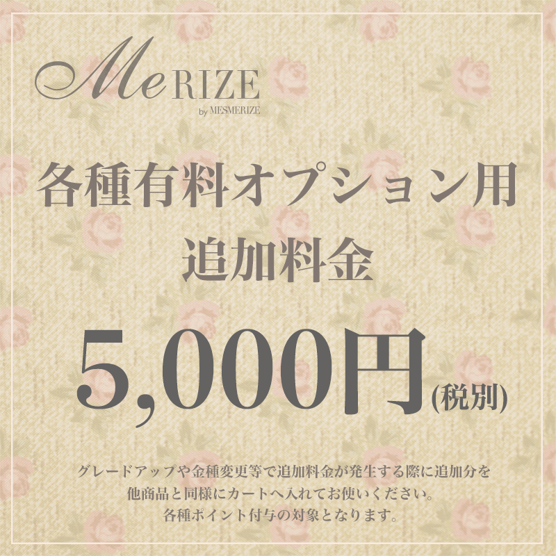 【5,000円(税別)】各種有料オプション用追加料金