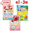 パイン 3種 (冷たいのど飴さくらんぼ/粉雪のど飴苺/伊藤農園×パイン甘夏とはっさくの果実ソルベキャンディ)各1 計3袋 アメ キャンディ のど飴 のどあめ アソート