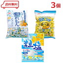 松屋&扇雀飴 塩分補給 キャンディ 大袋 3種 ( 塩れもん / 食べる塩レモン / 粒塩 )各1袋 計3袋 アソート 塩分チャージ 熱中症対策 飴 アメ 詰合せ
