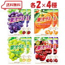 明治 果汁グミ 4種( ぶどう / 温州みかん / マスカット / ダークチェリーミックス )各2計8袋 ( アソート 詰め合わせ おいしい 果汁100% 無着色 )