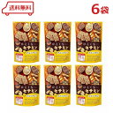 からだプラン ひとくちセサミン (グルコサミン) 100g(個装紙込) × 6袋セット ※賞味期限2025年6月25日