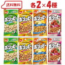 でんろく ポリッピー 4種 ( 塩味 / スパイス / 4種のチーズ味 / 梅しそ味 )各2袋 計8袋 アソート ※賞味期限2025年8月末