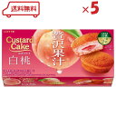ロッテ カスタードケーキ ( 贅沢果汁白桃 ) 6個 × 5個 白桃 桃 洋菓子 個包装 セット 送料無料 賞味期限2025年8月末