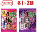 リボン キャンディー 2種 ( 生梅飴 / 生巨峰 ) 各1袋 計2袋 アソート