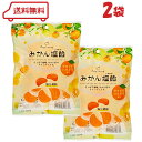 金扇 みかん塩飴 110g × 2袋 賞味期限2026.4.30