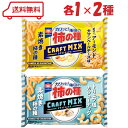 亀田製菓 亀田の柿の種 クラフトMIX 2種 ( アーモンド / カシューナッツ )各1袋 計2袋 アソート