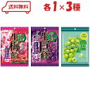 リボン キャンディ 3種 ( 生梅飴 / 生巨峰 / マスカットのまんま ) 各1 計3袋 とろ~り生食感ペースト入り 梅肉50%配合 ぶどう果汁50%配合 マスカット果汁50%配合 あめ アメ 飴 アソート 個包装 詰め合わせ 詰合わせ 詰合せ 詰合 つめあわせ 食べ比べ セット